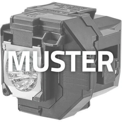 Abbildung von VIVITEK SS 5811126482 VV Beamerlampe Originalmodul