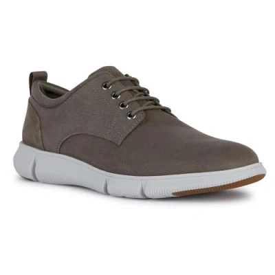 Abbildung von Geox Adacter Sneaker low, Herren, Größe: 43, Dove grey Schuhe
