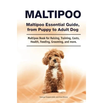 Abbildung von Maltipoo. Maltipoo Essential Guide, from Puppy to Adult Dog. Book for Raising, Training, Costs, Health, Feeding, Grooming, and more.
