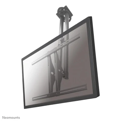 Abbildung von Neomounts PLASMA C100 Deckenhalterung