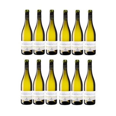 Abbildung von St. Pauls Goldmuskateller Alto Adige DOC Südtiroler Weißwein Wein trocken (12 Flaschen)
