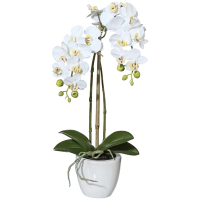 Abbildung von Creativ green Kunstpflanze &quot;Orchidee Phalaenopsis&quot;, im Keramiktopf