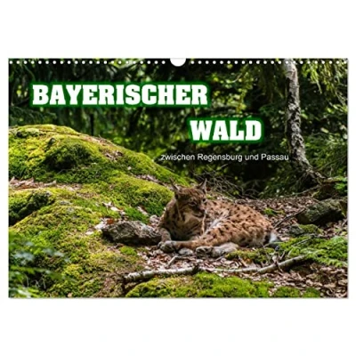 Abbildung von Bayerischer Wald (Wandkalender 2025 DIN A3 quer), CALVENDO Monatskalender