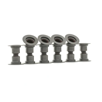 Abbildung von RIDEX 323S0015 Dichtungssatz, Ventilschaft RENAULT: ESPACE 3, CLIO 2, GRAND SCENIC DACIA: Duster SUV, Sandero I, OPEL: Vivaro A Kastenwagen