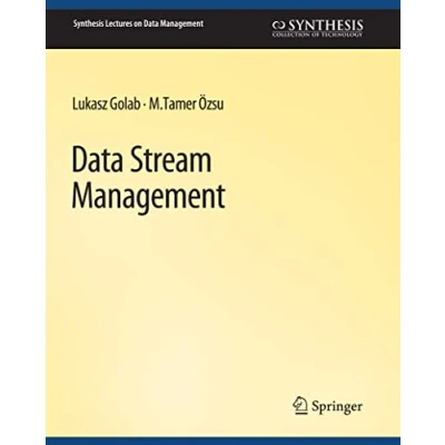 Abbildung von Data Stream Management (Synthesis Lectures on Management)