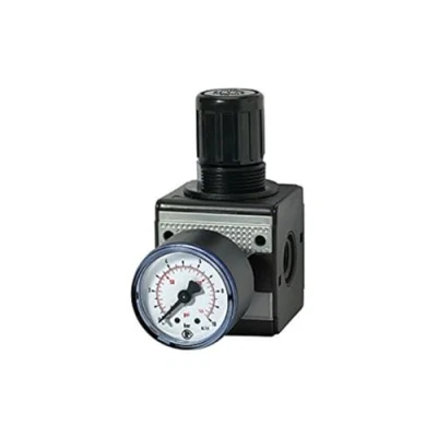 Abbildung von RIEGLER 100426 R 33 16 Druckregler »multifix«, inkl. Manometer, BG 3, G 1/2, 0,5 bar, 1Stk