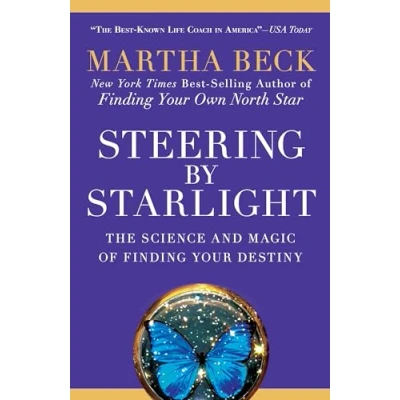 Abbildung von Steering by Starlight: The Science and Magic of Finding Your Destiny