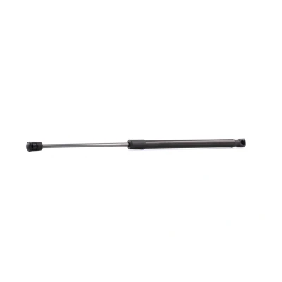 Abbildung von RIDEX 219G0279 Heckklappendämpfer 460 485 AUDI: A3 Schrägheck
