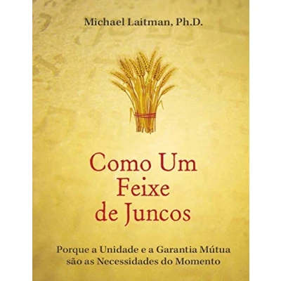 Abbildung von Como um Feixe de Juncos: a União e Responsabilidade Mútua São Necessidade do Momento