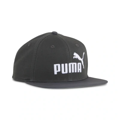 Abbildung von Puma ESS No. 1 Logo Cap Mit flachem Schirm Plain Dusky Gray