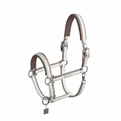 Abbildung von Eskadron SS&#039;24 Classic Halfter