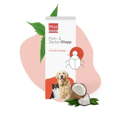 Abbildung von PHA Floh &amp; ZeckenStopp Pumpspray f.Hunde 100 ml