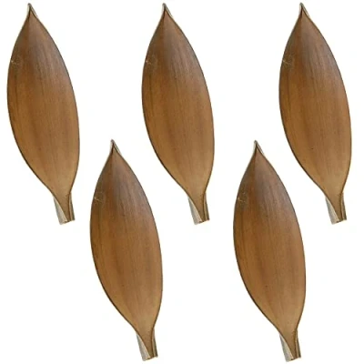 Abbildung von matches21 Deko Kokosschalen Naturdeko Bastelmaterial Gestecke Herbst Winter getrocknet Natur 5er Set 30 40 cm