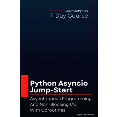 Abbildung von Python Asyncio Jump Start: Asynchronous Programming And Non Blocking I/O With Coroutines (Python Concurrency Start Series)