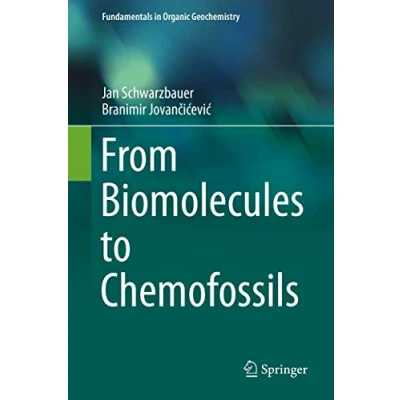 Abbildung von From Biomolecules to Chemofossils (Fundamentals in Organic Geochemistry)
