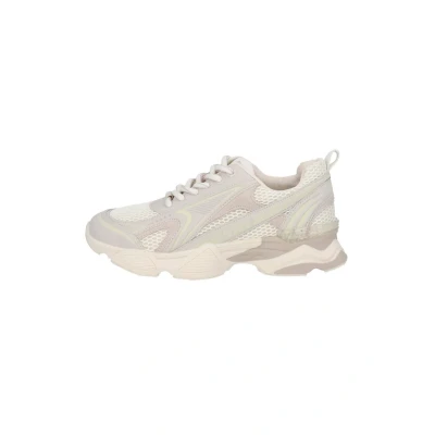 Abbildung von Steve Madden Speedster Sneaker low, Damen, Größe: 39, Silber Schuhe