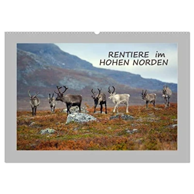Abbildung von Rentiere im Hohen Norden (Wandkalender 2025 DIN A2 quer), CALVENDO Monatskalender