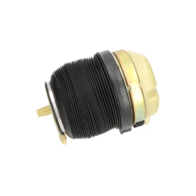 Abbildung von KAVO PARTS SAS 10009 Luftfeder, Fahrwerk Hinterachse AUDI: A6 C6 Allroad, Avant, Limousine