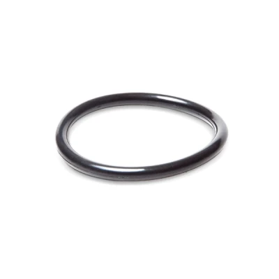 Abbildung von EPS 1.890.590 Dichtung, Thermostat Made in Italy OE Equivalent VOLKSWAGEN: Touran I, GOLF 2, Transporter 4 Kastenwagen, AUDI: A3 Schrägheck
