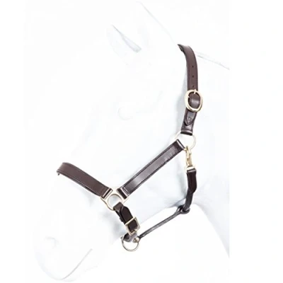 Abbildung von Halfter ROBUST Leder braun