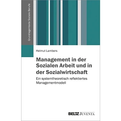 Abbildung von Management in der Sozialen Arbeit und Sozialwirtschaft: Ein systemtheoretisch reflektiertes Managementmodell (Grundlagentexte Soziale Berufe)