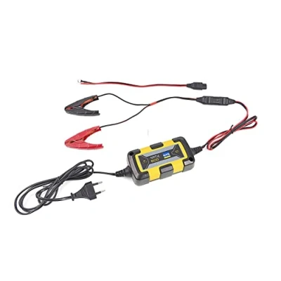 Abbildung von GYS Ladegerät Batterieladegeräte Kfz automatisches speziell für 12V Batterien von Motorrädern, Jet Ski, Karts oder Rasenmäher, Artic 800