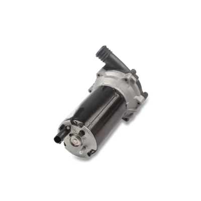 Abbildung von Wasserpumpe, Standheizung HEPU AP8255