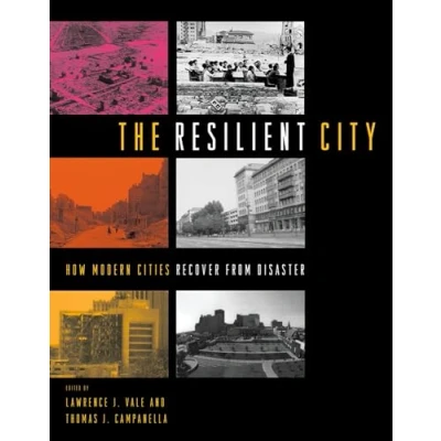 Abbildung von The Resilient City: How Modern Cities Recover from Disaster