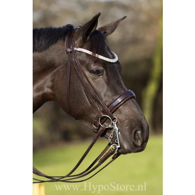 Abbildung von Premiera &#039;&#039;Prades&#039;&#039; Bruin stang en trens hoofdstel met bling frontriem