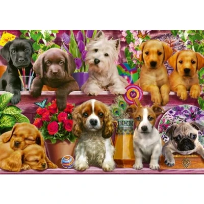 Abbildung von Schmidt Spiele Puzzle Hunde im Regal 500 Teile, Puzzleteile