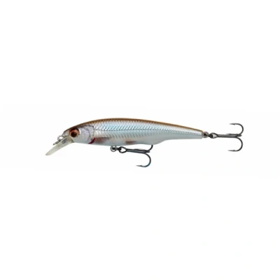 Abbildung von Savage Gear Gravity Twitch Sr 9.5cm 15gr Suspending Roach Wobbler