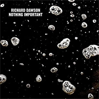 Abbildung von Nothing Important (Lp+Mp3) [Vinyl LP]
