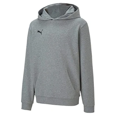 Abbildung von Puma Teamgoal 23 Casuals Hoody JR Unisex Sweatshirt für Kinder, Größe: 116, Grau