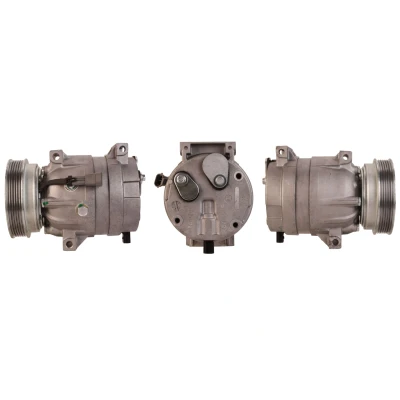 Abbildung von LUCAS ACP753 Kompressor PAG 150 R134a mit Dichtungen