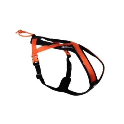 Abbildung von Non stop dogwear Hunde Geschirr Rush Harness schwarz/orange