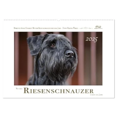 Abbildung von Mit dem Riesenschnauzer durch das Jahr (Wandkalender 2025 DIN A2 quer), CALVENDO Monatskalender
