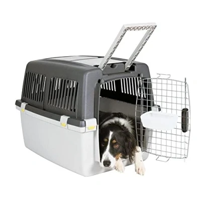 Abbildung von TRIXIE Hunde Transportbox Gulliver hellgrau/grau