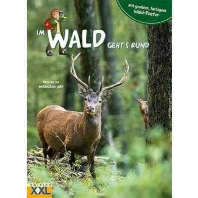 Abbildung von Im Wald geht&#039;s rund mit großem, farbigem Poster: Was es zu entdecken gibt