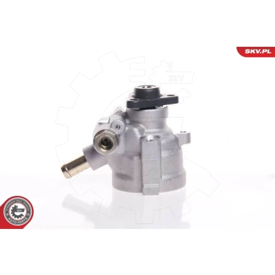Abbildung von ESEN SKV 10SKV007 Hydraulikpumpe hydraulisch 80bar Druckbegrenzungsventil 70l/h Flügelzellenpumpe Aluminium Drehrichtung im Uhrzeigersinn