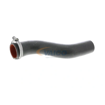 Abbildung von VAICO V46 0738 Ladeluftschlauch Gummi mit Gewebeeinlage Q+, Erstausrüsterqualität RENAULT: Kangoo II / Grand Kangoo, Express