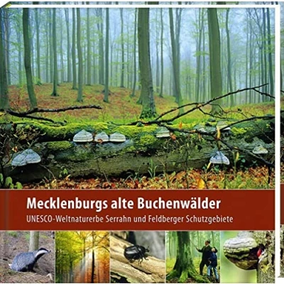 Abbildung von Mecklenburgs alte Buchenwälder (2. Aufl.): UNESCO Weltnaturerbe Serrahn und Feldberger Schutzgebiete