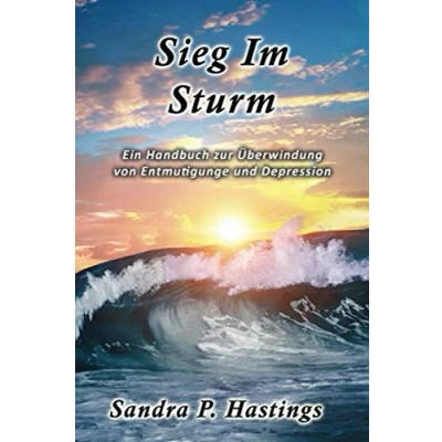 Abbildung von Sieg Im Sturm: Ein Handbuch zur ueberwindung von Entmutigunge und Depression