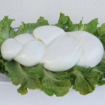 Abbildung von Treccione Mozzarella di Bufala (3 kg)
