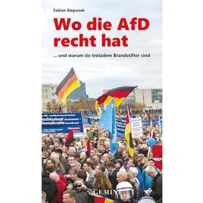 Abbildung von Wo die AfD recht hat: ... und warum sie trotzdem Brandstifter sind (Gemini)