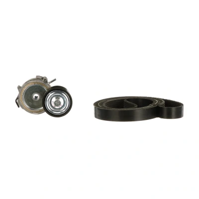 Abbildung von GATES K036PK1750 Keilrippenriemensatz ThermalPro RENAULT: Megane Scenic, LAGUNA 1, Scénic 1
