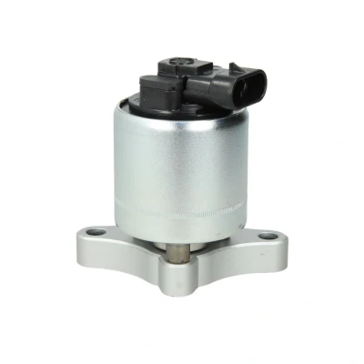 Abbildung von DELPHI EG10003 12B1 AGR Ventil mit Dichtungen OPEL: Vectra B CC, Astra G Corsa C Schrägheck
