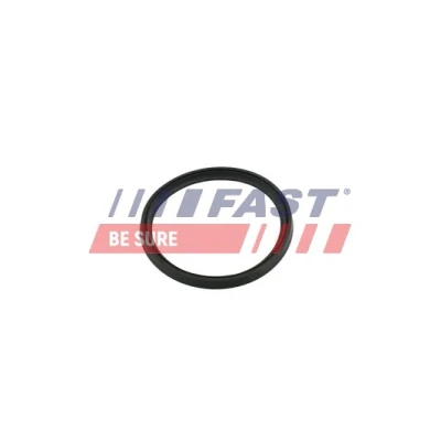 Abbildung von FAST FT49854 Dichtring RENAULT: SCENIC 3, MEGANE 3 Grandtour, Lodgy, MERCEDES BENZ: A Klasse, DACIA: LOGAN MCV 2