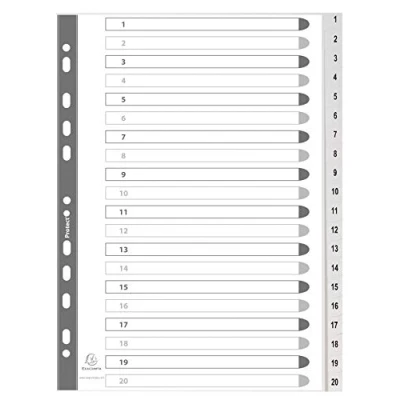 Abbildung von Exacompta Ordnerregister Vollformat 1 20 DIN A4