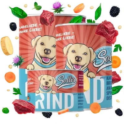 Abbildung von Sollis Nassfutter Rind 6x200g