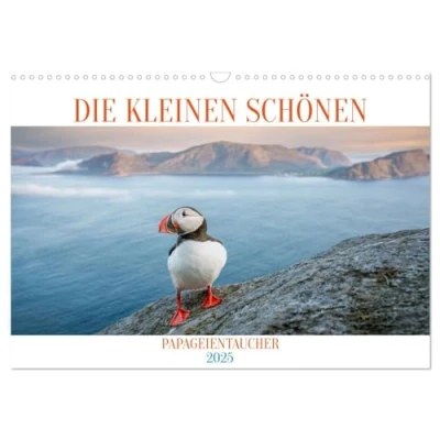 Abbildung von Die kleinen schönen (Wandkalender 2025 DIN A3 quer), CALVENDO Monatskalender